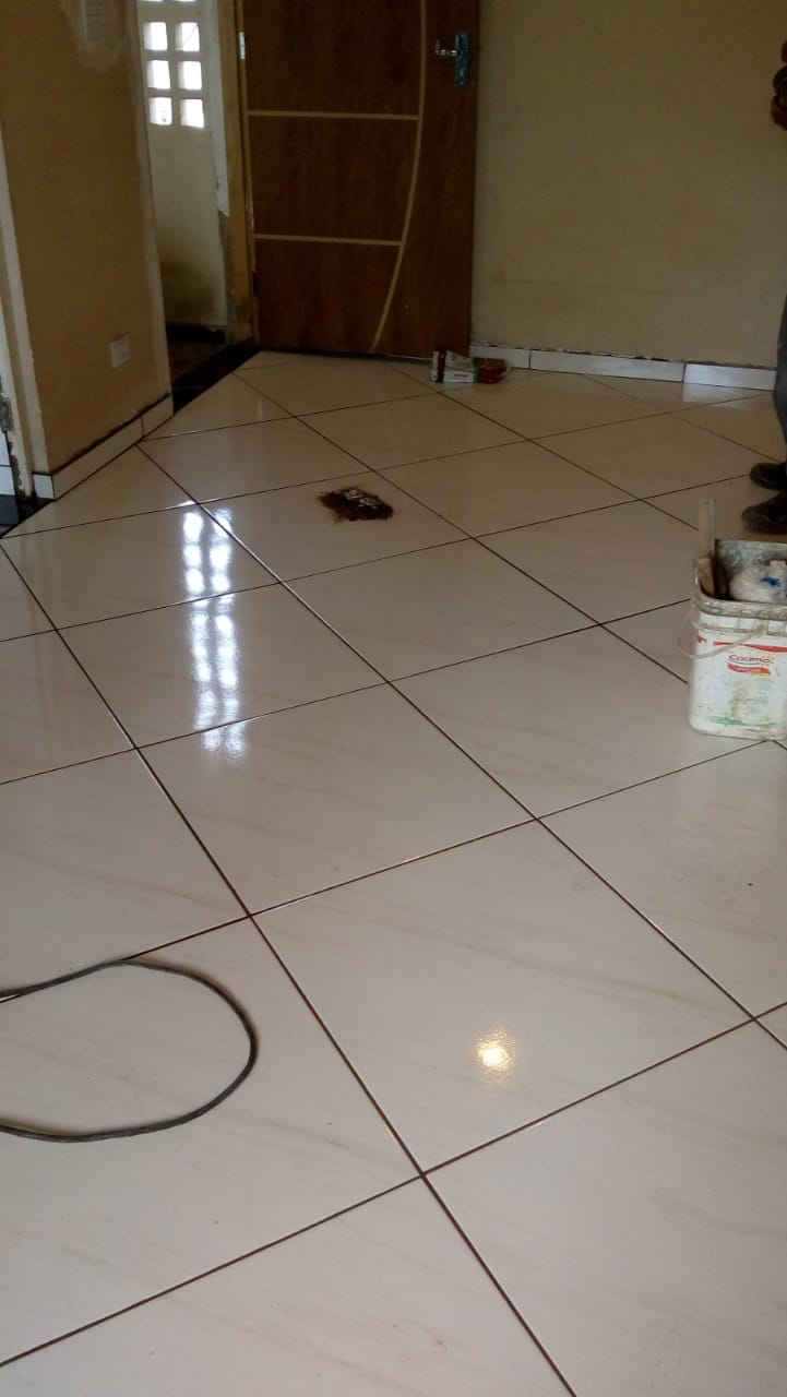 20190117114708.jpeg